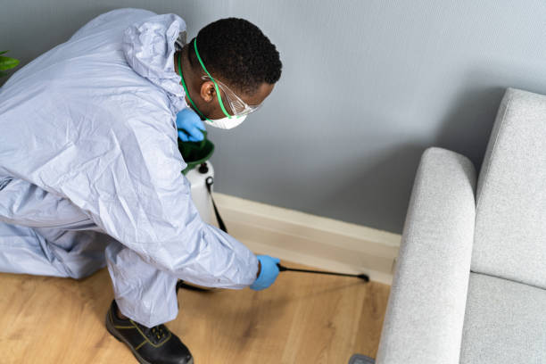 Best Commercial Pest Control  in Rangely, CO